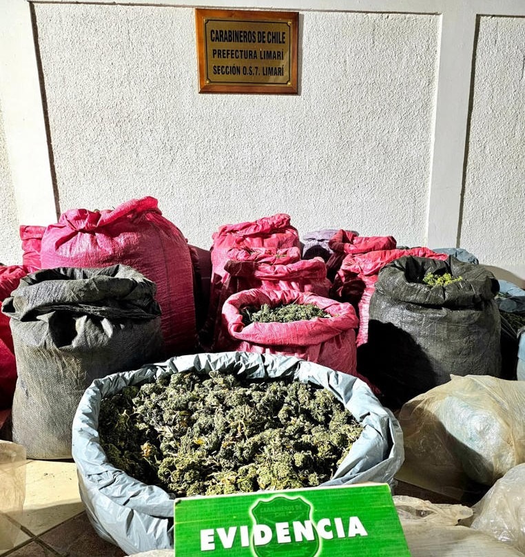 marihuana