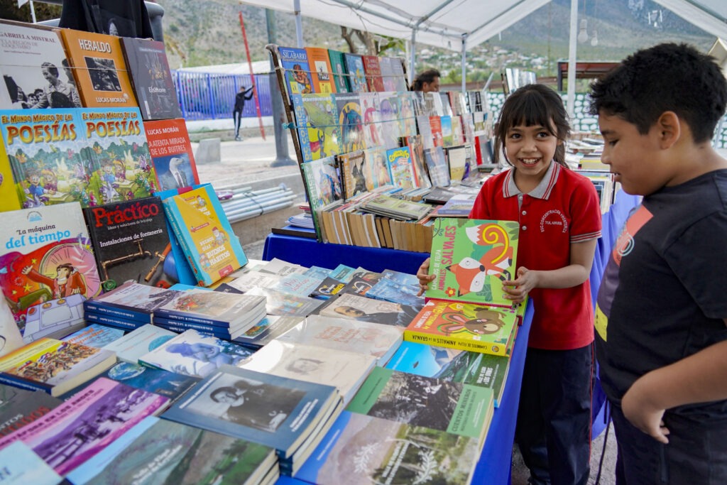 Comunidad de Tulahuén inaugura la primera Feria del Libro cordillerana ...